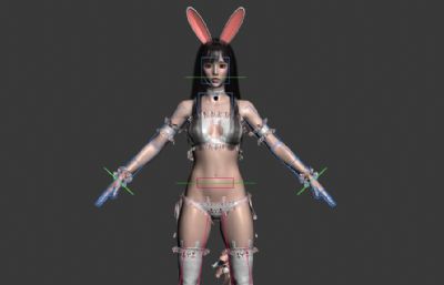 Bunny Girl兔女郎,性感兔子服装女生女孩3D模型,带绑定,有贴图(网盘下载)