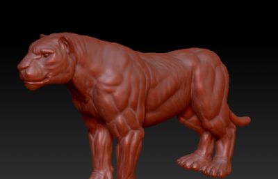 强壮期的肌肉狮子zbrush模型