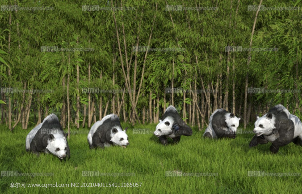 熊猫和竹林图片素材-编号35854994-图行天下