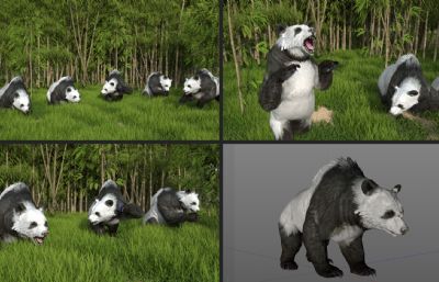 写实熊猫竹子竹林C4D场景,包含北极熊和棕熊皮肤贴图,C4D模型,octane渲染,含独立的C4D动作文件(网盘下载)