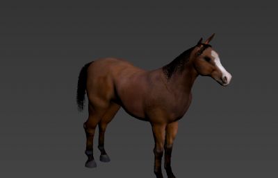 马,一匹马3D模型,FBX格式
