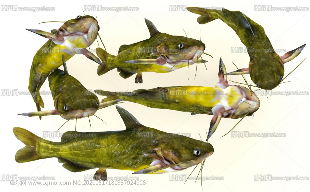 池沼公鱼-名特食品图谱-图片