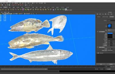 现代黄花鱼,鲳鱼,鳜鱼,鲭鲅鱼,平鱼组合3D模型,MAX,MB,OBJ,ZRP,SKP等多种格式