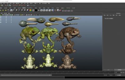 美国牛蛙,青蛙,中华蟾蜍,癞蛤蟆,蝌蚪3D模型,有MAX,MB,ZTL,SKP格式