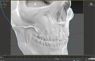 骷髅头,头骨3D模型,MAX,MB,FBX,ZPR,SKP等格式