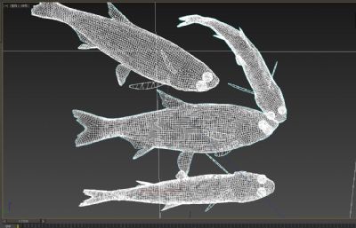 现代花白鲢鱼,大头鱼3D模型