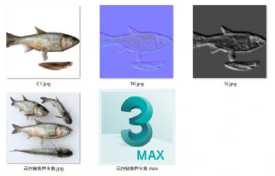 现代花白鲢鱼,大头鱼3D模型