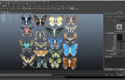 蝴蝶,各种中内外蝴蝶,飞蛾3D模型,有MAX,MB,FBX,ZPR格式