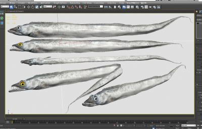 东海带鱼,刀鱼3D模型,MAX,MB,ZPR,STL多种格式