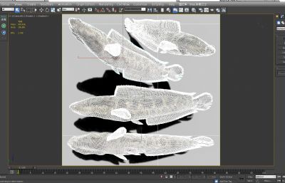 黑鱼,乌鱼,蛇头鱼3D模型,MAX,MB,FBX,ZPR多种格式