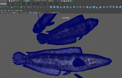 黑鱼,乌鱼,蛇头鱼3D模型,MAX,MB,FBX,ZPR多种格式