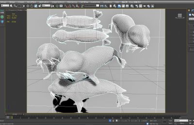环斑海豹3D模型,MAX,MB,OBJ等格式