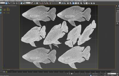 罗非鱼,非洲鲫鱼,慈鲷3D模型,MAX,MB,ZTL三种格式