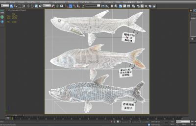 翘嘴鲌鱼,红尾鱼3D模型,MAX,MB,OBJ,ZTL,SKP多种格式