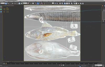 米鱼,马面鱼,花鳗鲡组合3D模型,MAX,MB,ZPR,SKP多种格式