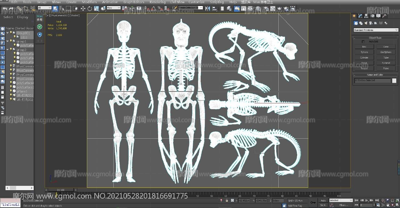 人类,猩猩,猿猴骨架,猿人骨骼3D模型,MAX,MB两种格式