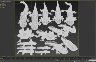 几款六角恐龙鱼,墨西哥蝾螈,娃娃鱼,大鲵3D模型