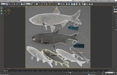 花白鲢鱼,胖头鱼,鲢鳙3D模型,MAX,FBX,MB,ZPR,SKP等多种格式