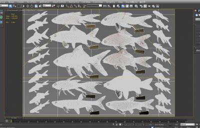 草金鱼,锦鲫鱼,鲤鱼标本3D模型,MAX,MB,ZPR,SKP等格式