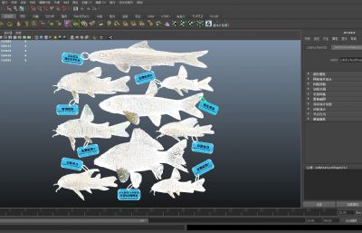 甲鲶鱼,老鼠鱼,草鱼,金苔鼠鱼组合3D模型,MAX,MB,FBX,ZPR等多种格式