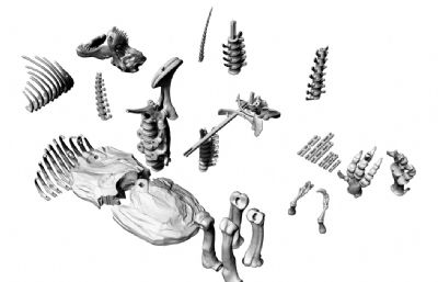 霸王龙骨架3D打印模型,19个STL文件