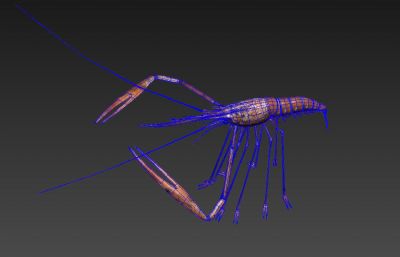 异形虾,大虾3D模型塌陷文件