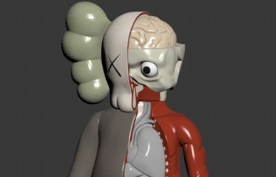 kaws解剖玩偶3D模型