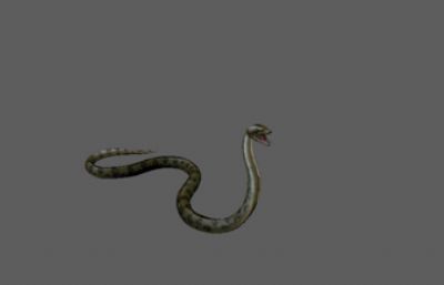 次世代爬行动物蛇3D模型,带18套动画(网盘下载)