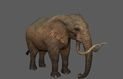 大象3D模型,带攻击,奔跑,走路等13套动画(网盘下载)