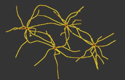 神经元细胞3D模型