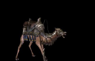 两款Camel骆驼C4D模型,分别带20多种动画动作