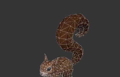 可爱小松鼠3D模型,max+fbx格式