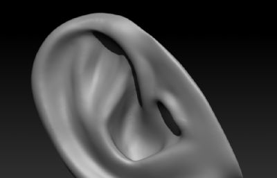 三款不同造型的耳朵高模OBJ模型