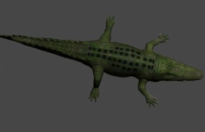 鳄鱼3D模型,MAX,OBJ两种格式