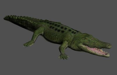 鳄鱼3D模型,MAX,OBJ两种格式