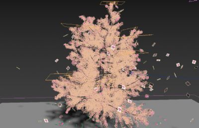 樱花树樱花随风飘落3D,max动画源文件