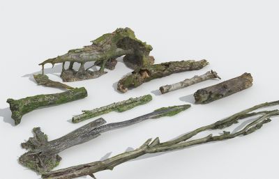 8种不同类型木桩,枯树干,腐木3D模型