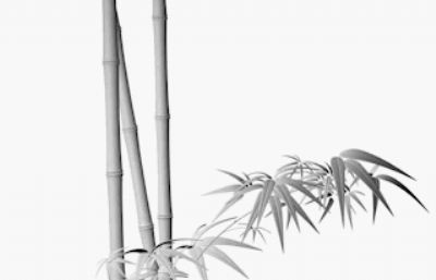 C4D运动的竹林,树叶随风飘动动画的青竹模型