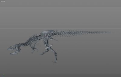 成年暴龙骨架,恐龙化石,恐龙骨骼OBJ模型