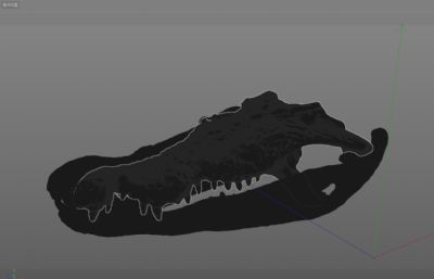 湾鳄头骨,鳄鱼骨头化石OBJ模型,可打印