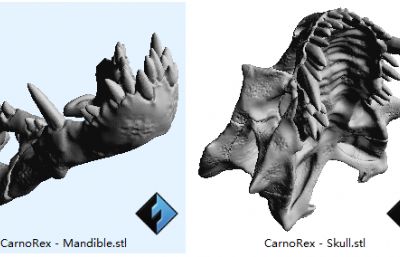 翼龙头骨,恐龙骨骼化石,mb,obj,stl等格式,可3d打印