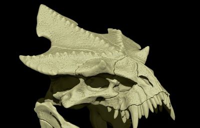 翼龙头骨,恐龙骨骼化石,mb,obj,stl等格式,可3d打印