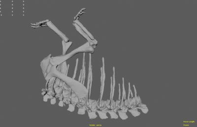 鹦鹉嘴龙骨架肢解,恐龙化石结构模型,mb,stl,obj等格式,已拆件