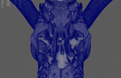 山羊头骨化石模型,mb,obj,stl格式,可打印