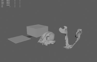 法国斗牛犬头骨骨骼模型,MA,STL,OBJ等格式