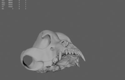 法国斗牛犬头骨骨骼模型,MA,STL,OBJ等格式