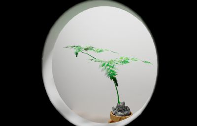 中式镂空圆环绿植3D模型