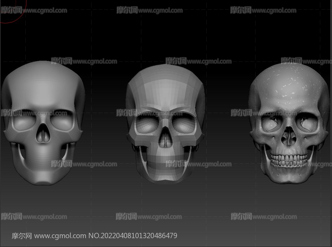 医学健康素材设计黑色背景下三具不同姿势的骷髅的骨骼清晰可见