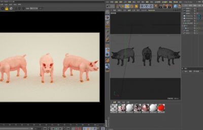 吼叫的家猪,白皮猪,写实猪C4D模型