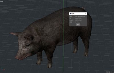 黑猪,家猪肉猪,写实猪C4D模型